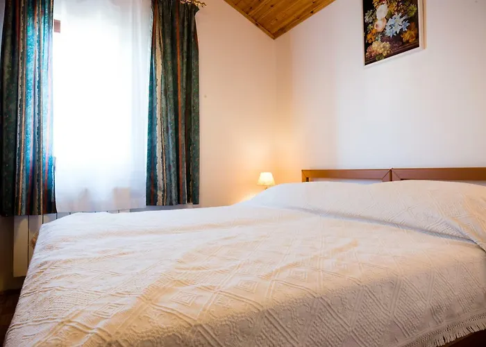 App Cerneka * 우마그