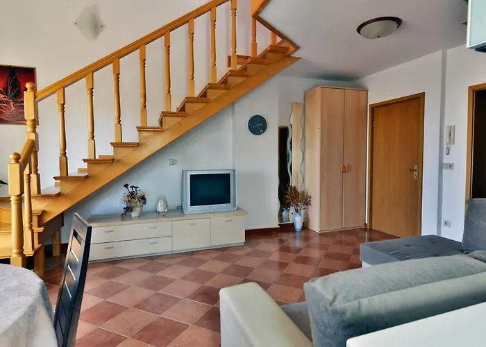 App Cerneka * 우마그